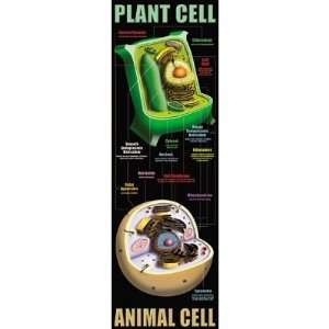   Mcdonald Publishing Mc v1632 Plant And Animal Cells