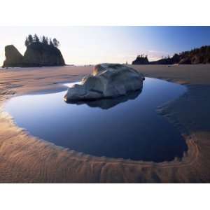  Beach, Olympic National Park, Unesco World Heritage Site, Washington 