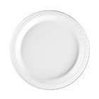 disposable plastic plates white  