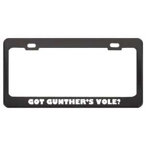  Got GuntherS Vole? Animals Pets Black Metal License Plate 