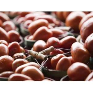  Tomatoes at Ann Arbor Farmers Market, Ann Arbor, Michigan 