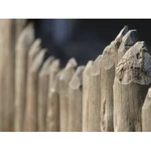  Close Up of Rustic Pointed Wooden Fence Posts Stretched 