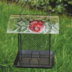  Square bird feeder with glass dome, Delightful Ladybug 