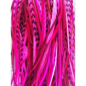  4 7 Bright Pink with Grizzly & Brown Mix Feathers for 