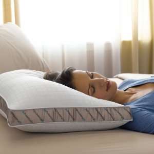  Sealy Posturepedic Grand Impression Pillow   White