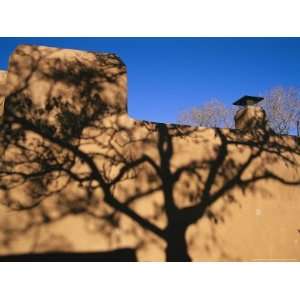 Shadows of Branches Highlight an Adobe Wall in Old Santa Fe National 