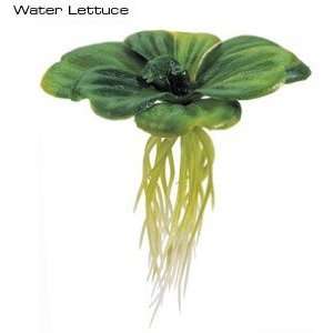  Exo Terra Floating Plant   Water Lettuce