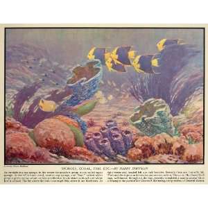  1931 Print Sea Sponge Coral Tropical Fish Harry Hoffman 